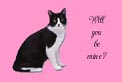 h_be_mine