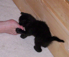 Little Andrew playing with toes