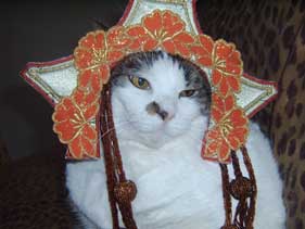cat with headdress