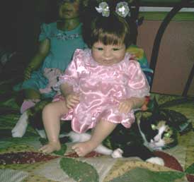 cat and doll