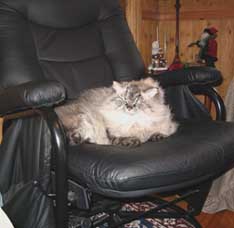 missy on recliner